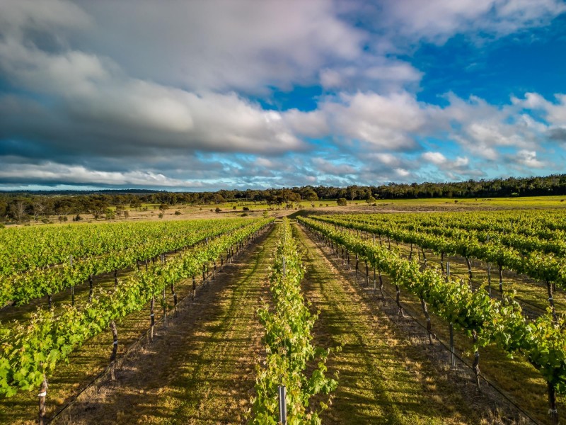 23 Turner Road, Severnlea QLD 4380