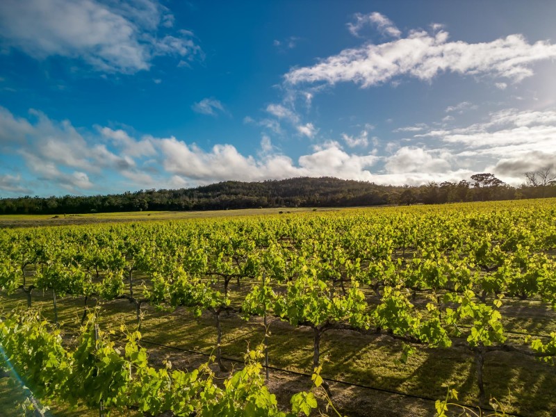 23 Turner Road, Severnlea QLD 4380