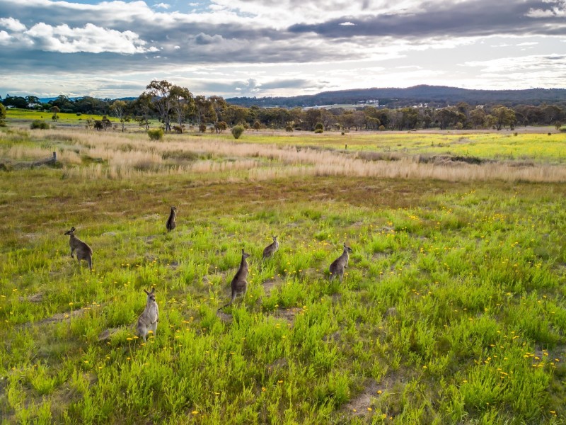 23 Turner Road, Severnlea QLD 4380