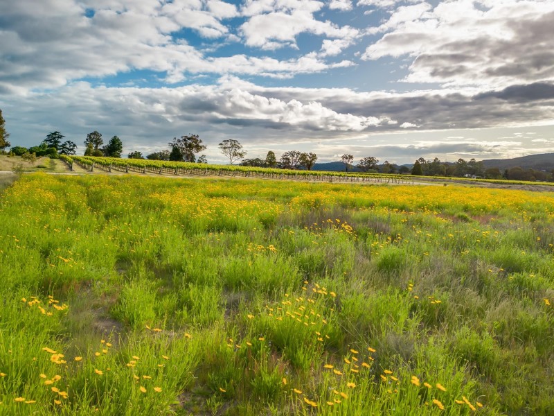 23 Turner Road, Severnlea QLD 4380