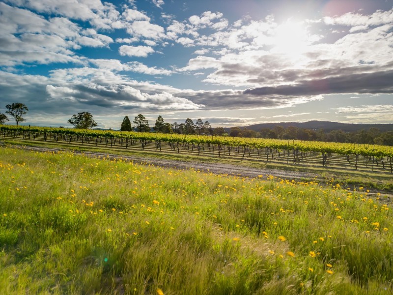 23 Turner Road, Severnlea QLD 4380