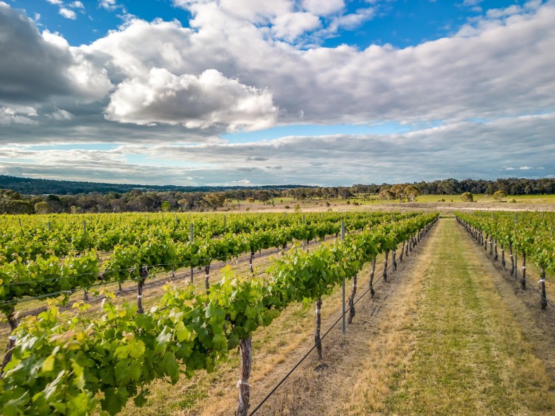 23 Turner Road, Severnlea QLD 4380