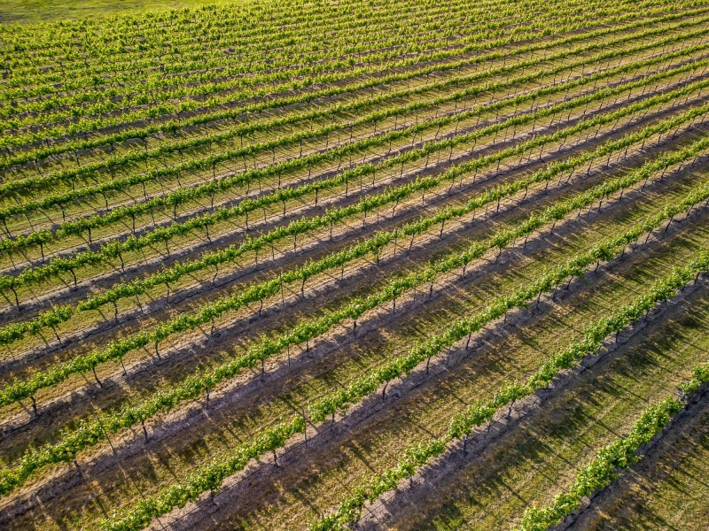 23 Turner Road, Severnlea QLD 4380