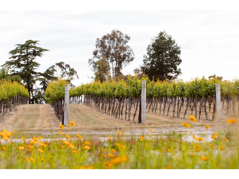 23 Turner Road, Severnlea QLD 4380