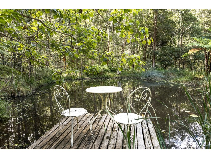 8 Koombahla Drive, Tallebudgera QLD 4228