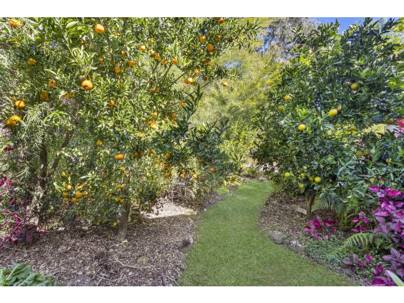 7 Doolee Court, Currumbin Valley QLD 4223