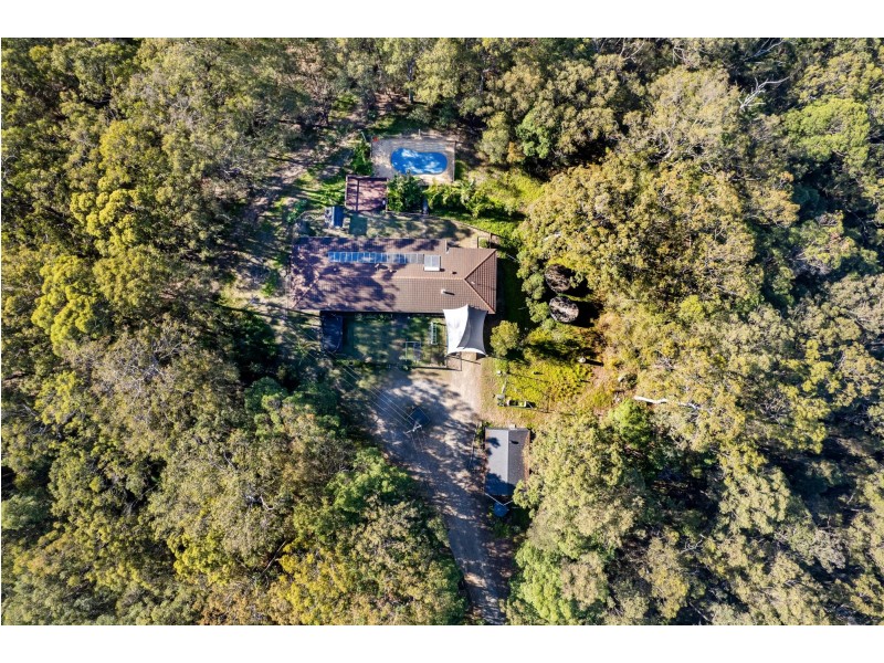 347 Trees Road, Tallebudgera QLD 4228