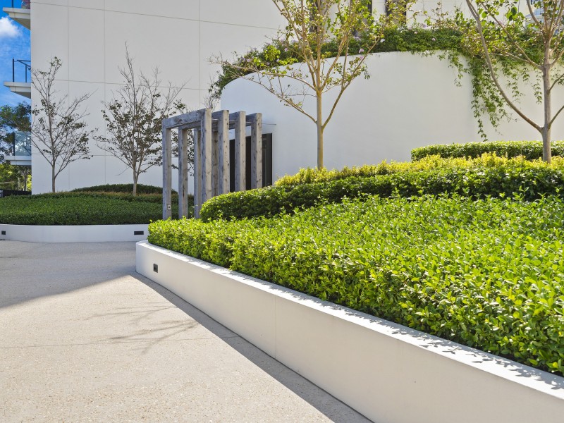 1704/1328 Gold Coast Highway, Palm Beach QLD 4221