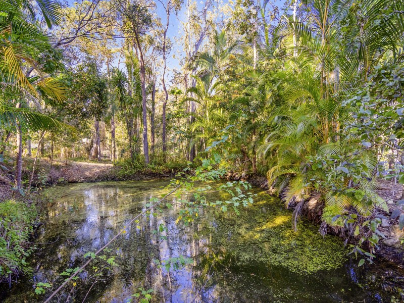 11 Haylett Court, Tallai QLD 4213