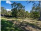 7 Winderadeen Court, Nerang QLD 4211