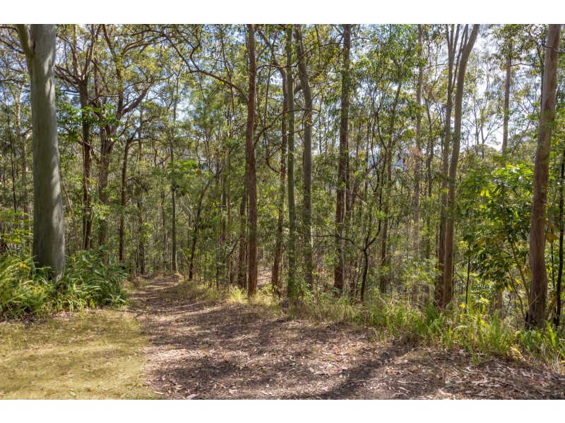 15 Barmark Court, Tallebudgera Valley QLD 4228