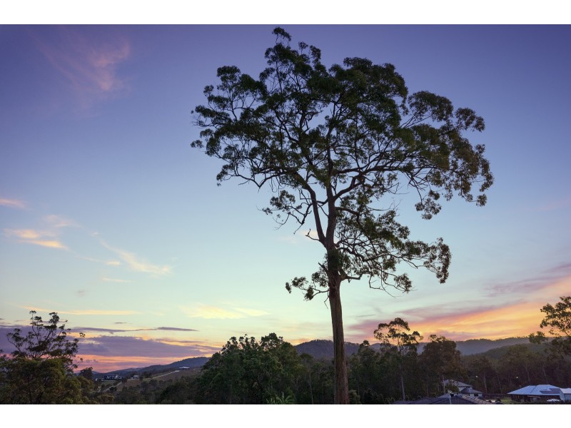 43 Whiptail Place, Advancetown QLD 4211