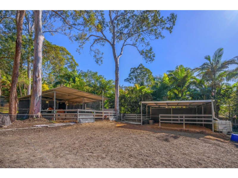 80 Quambone Street, Worongary QLD 4213