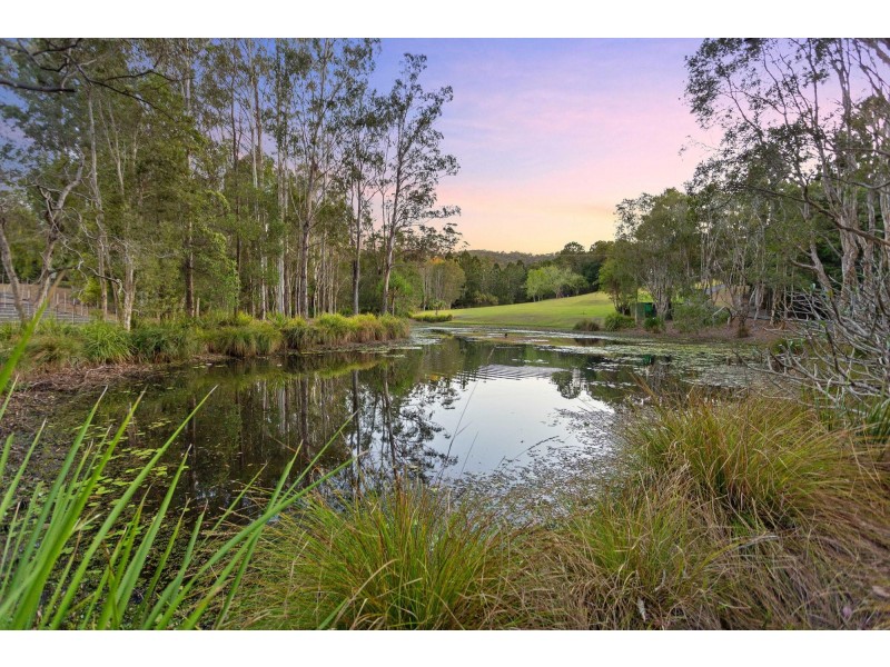 42 Syndicate Road, Tallebudgera Valley QLD 4228