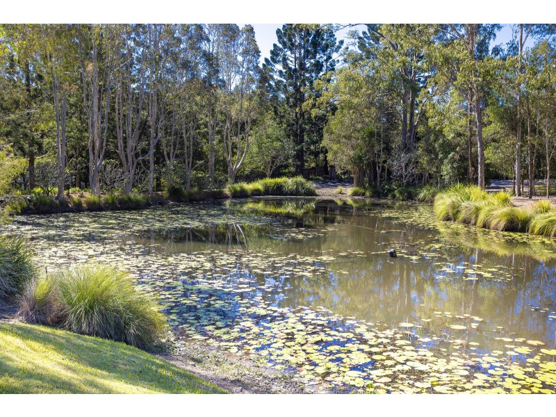 42 Syndicate Road, Tallebudgera Valley QLD 4228