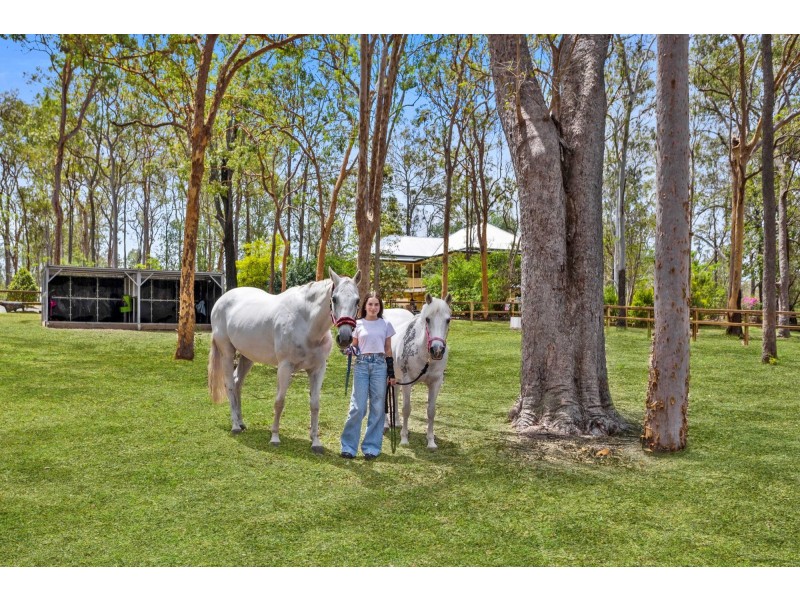 1920 Beaudesert-Beenleigh Road, Tamborine QLD 4270