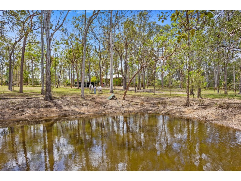 1920 Beaudesert-Beenleigh Road, Tamborine QLD 4270