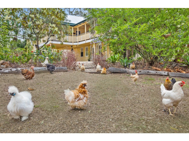 1920 Beaudesert-Beenleigh Road, Tamborine QLD 4270