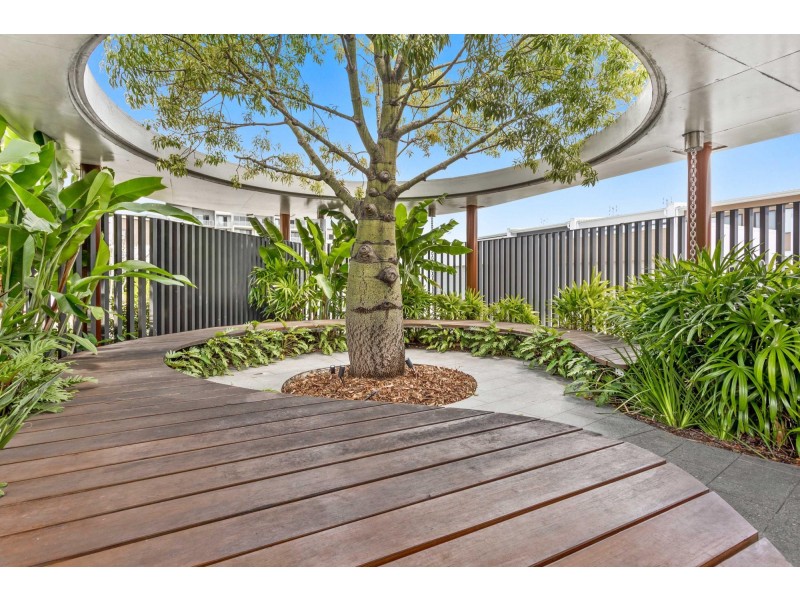 18 Wattle Olive/154 Musgrave Avenue, Southport QLD 4215