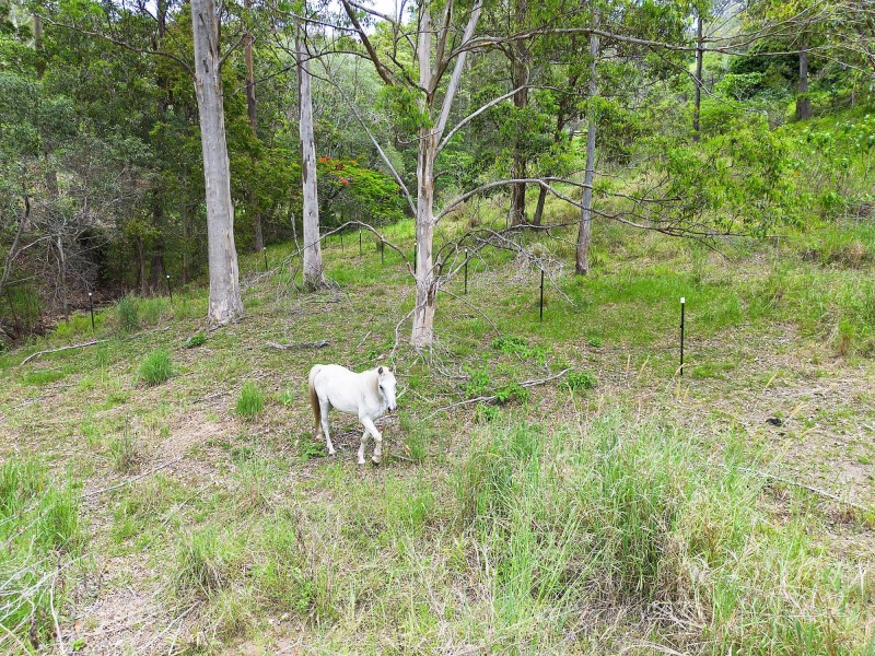 116 The Panorama, Tallai QLD 4213