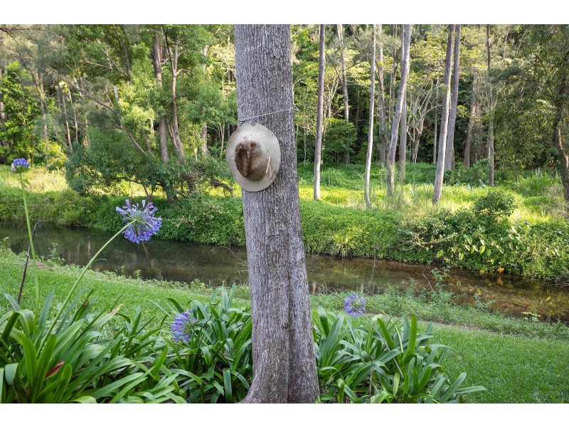 763 Tallebudgera Creek Road, Tallebudgera Valley QLD 4228