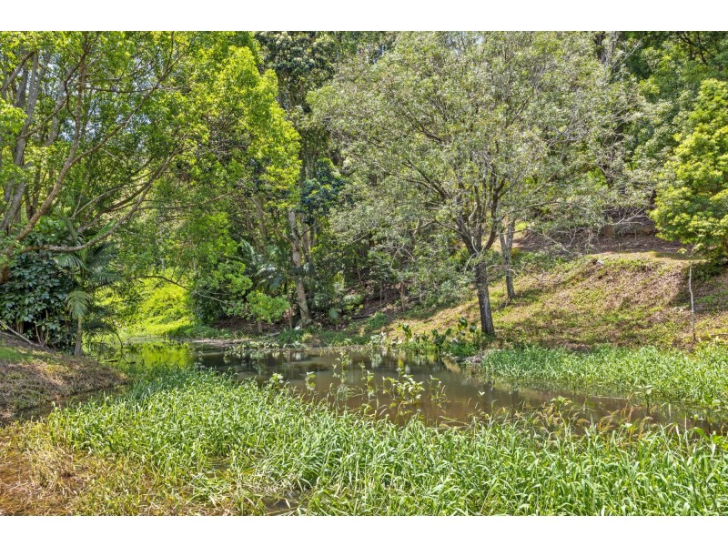 6 Fresco Court, Tallebudgera Valley QLD 4228