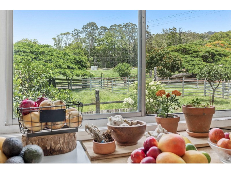1206 Currumbin Creek Road, Currumbin Valley QLD 4223