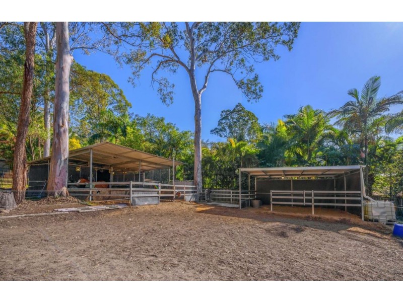 80 Quambone Street, Worongary QLD 4213