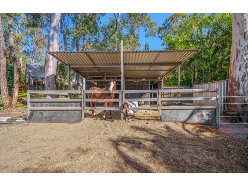 80 Quambone Street, Worongary QLD 4213