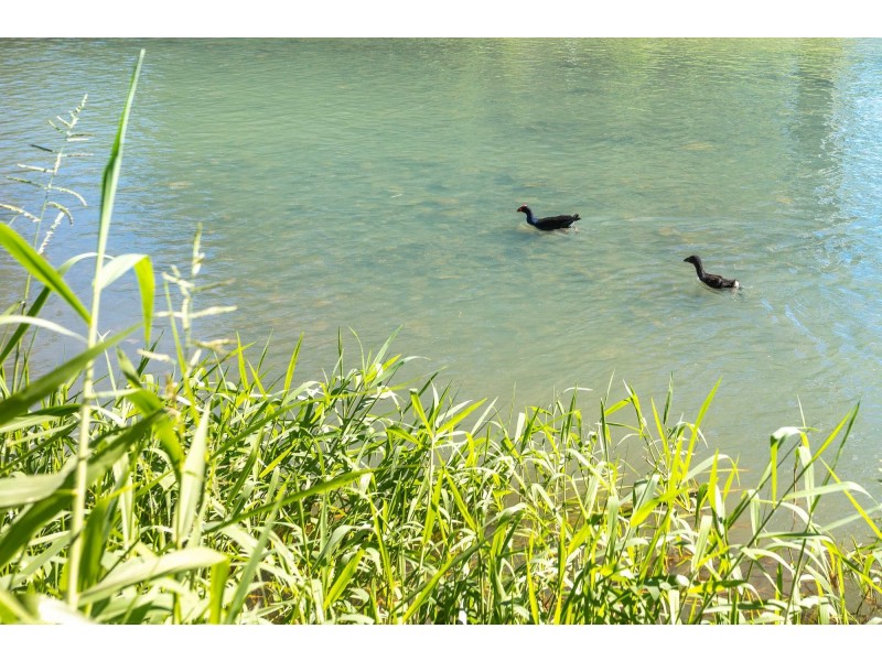 68 Coorabin Court, Tallebudgera QLD 4228