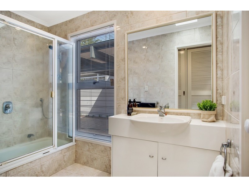 31 Norfolk Avenue, Surfers Paradise QLD 4217