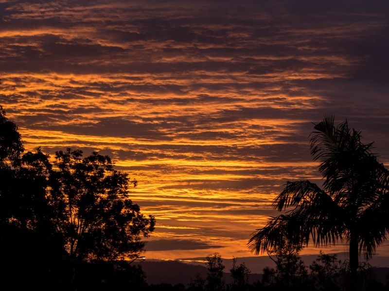 15 Homebush Drive, Robina QLD 4226