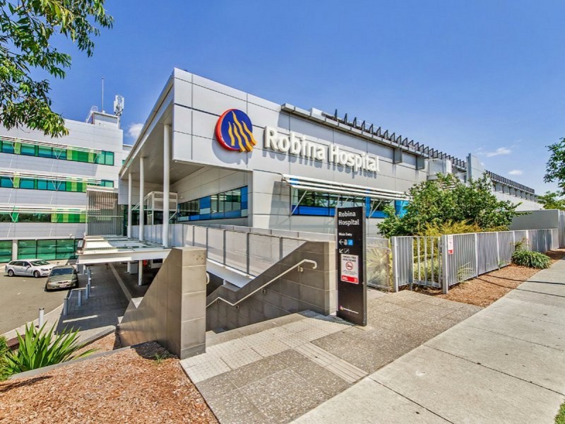 17 Laurel Oak Drive, Robina QLD 4226