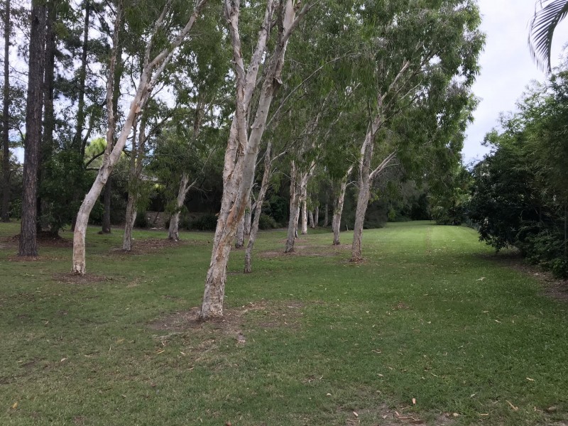 9 Ryder Court, Robina QLD 4226