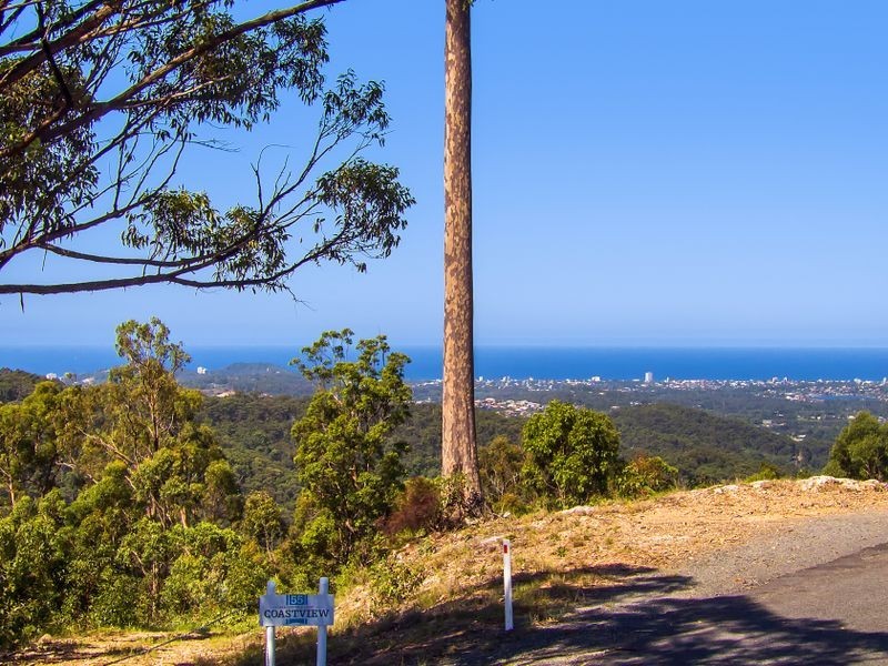 55 Brackenfield Court, Bonogin QLD 4213