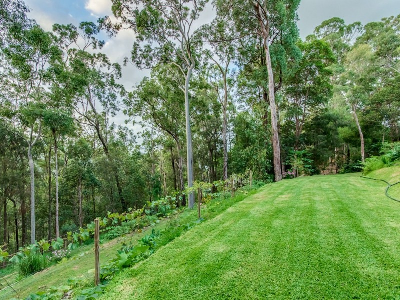 62A Wallaby Drive, Mudgeeraba QLD 4213