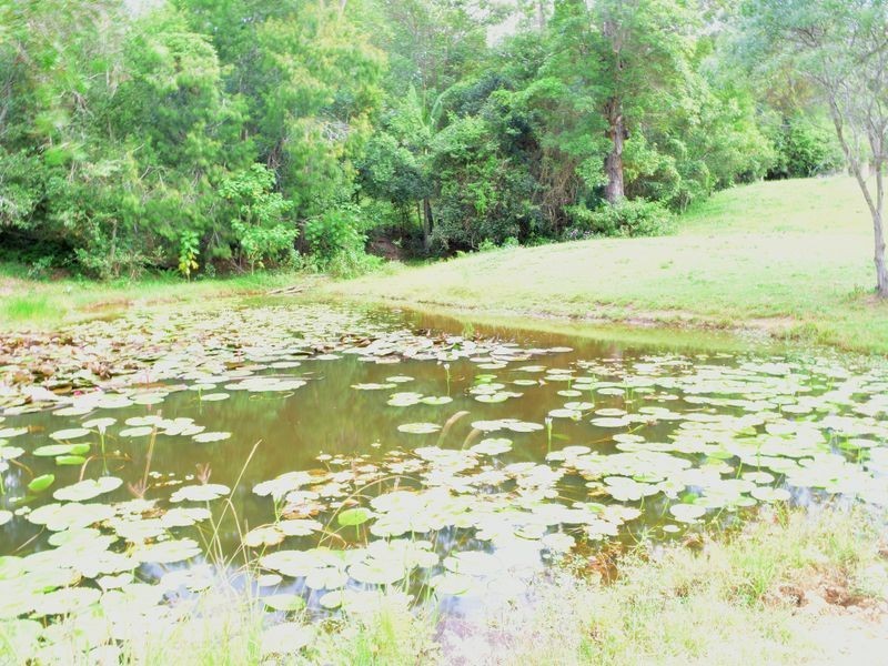 653 Bonogin Road, Bonogin QLD 4213