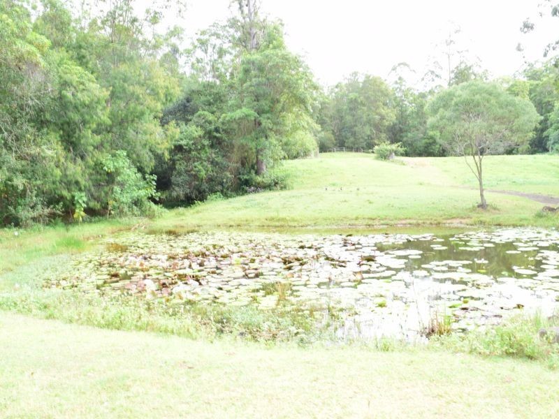 653 Bonogin Road, Bonogin QLD 4213