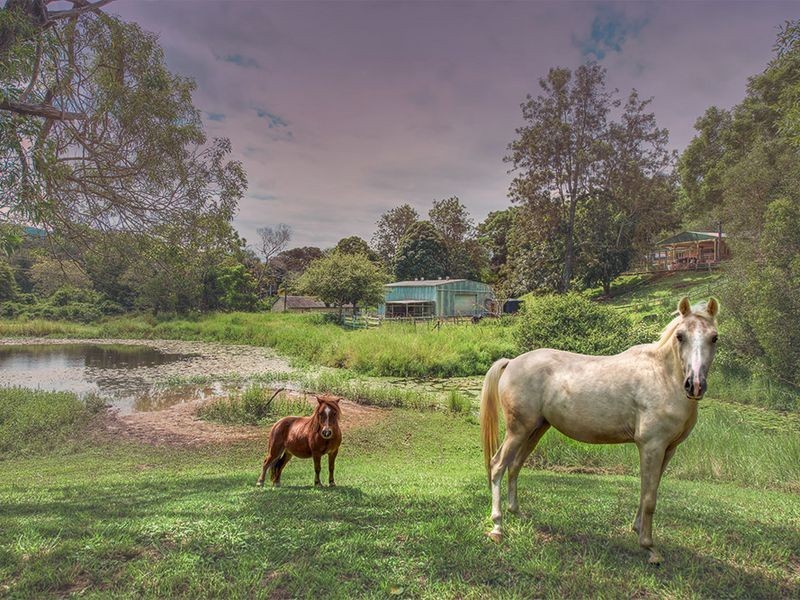 3 Manuka Road, Mudgeeraba QLD 4213
