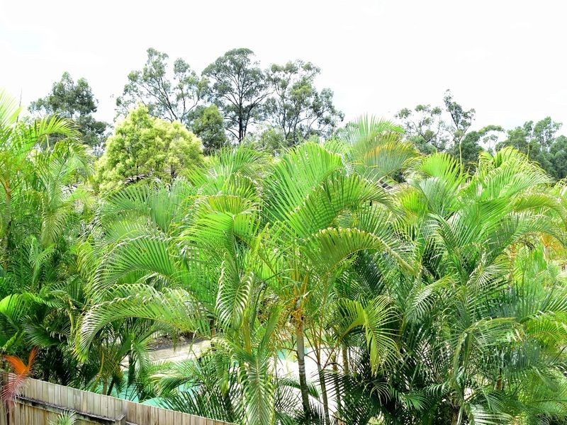 24/95 Gemvale Road, Mudgeeraba QLD 4213