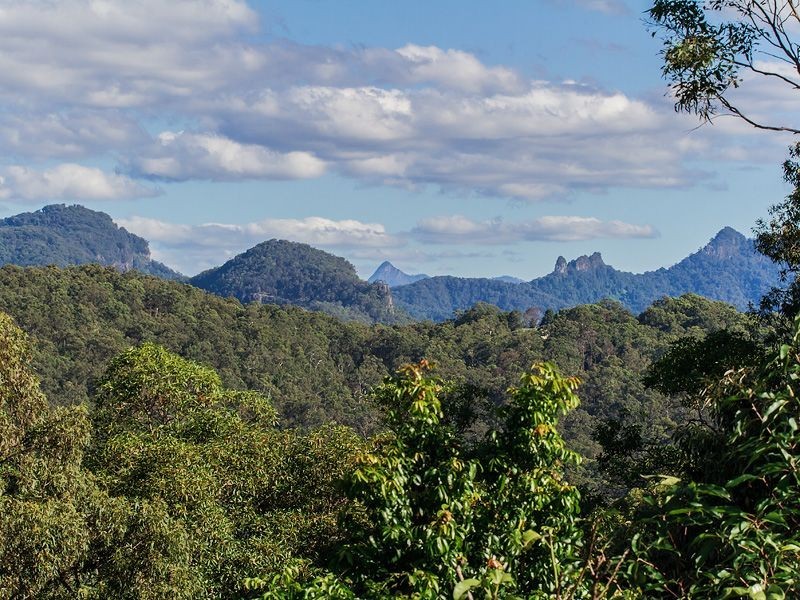 64 Brackenfield Court, Bonogin QLD 4213