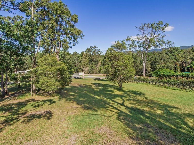 11 Lily Crescent, Nerang QLD 4211
