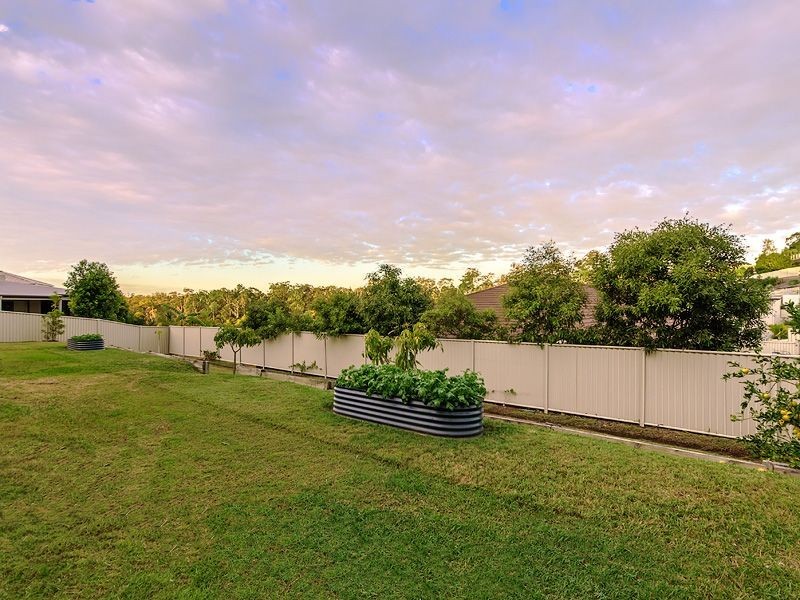 56 Cordyline Drive, Reedy Creek QLD 4227