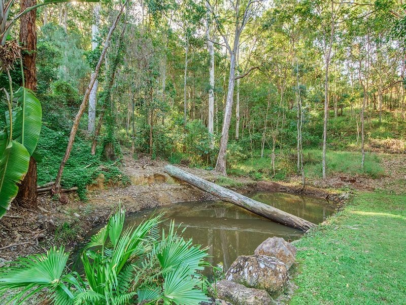 87 Wallaby Drive, Mudgeeraba QLD 4213