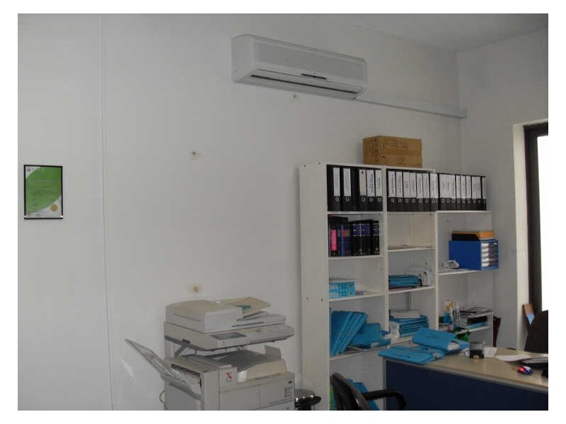 19/296 Marrickville Rd., Marrickville NSW 2204