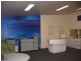 55 Sydenham Rd, Marrickville NSW 2204