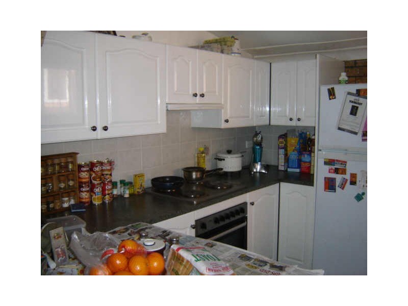 64 Frampton Ave, Marrickville NSW 2204