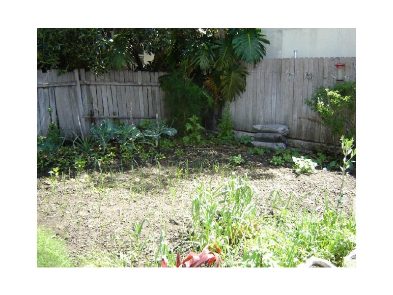 13 Charlotte Ave, Marrickville NSW 2204