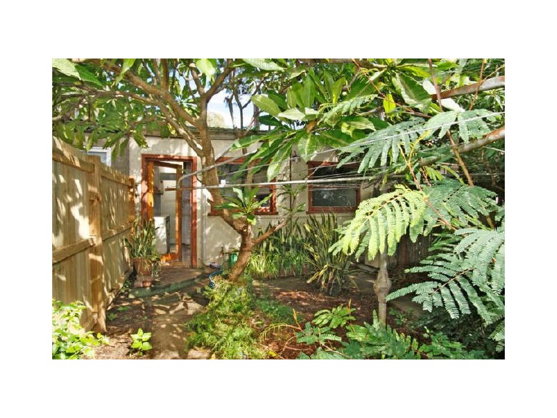 31 Morgan Street, Petersham NSW 2049