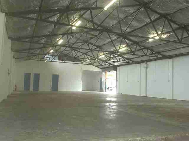 17 Carrington Road, Marrickville NSW 2204